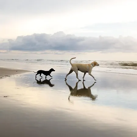 The Sandpiper - Part Of The The Bay Filey Village With Pool, Gym And Direct Access, Pub, Restaurant, Tennis And Meadows Walks 度假居