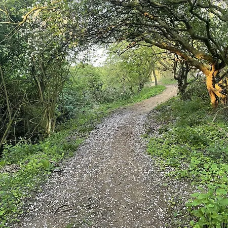 The Sandpiper - Part Of The The Bay Filey Village With Pool, Gym And Direct Access, Pub, Restaurant, Tennis And Meadows Walks Tatil Evi *